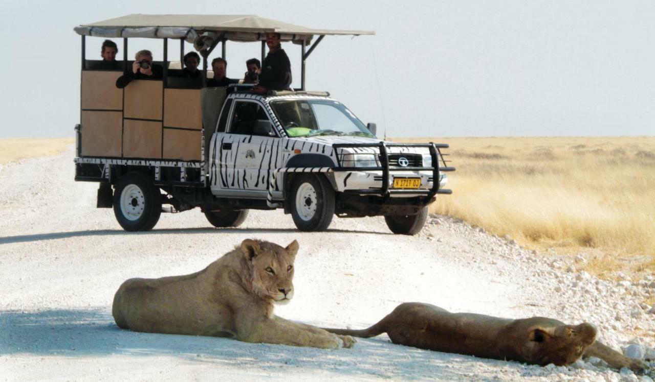Gondwana Etosha Safari Lodge Okaukuejo Εξωτερικό φωτογραφία